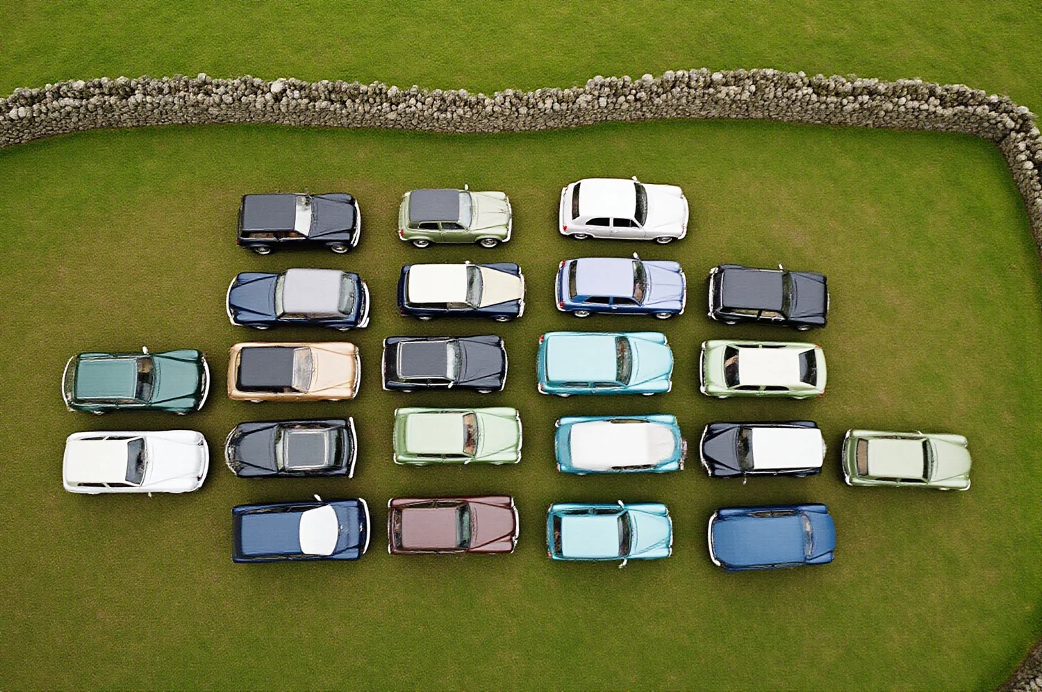 Cars arranged in a line on grass, seen from above